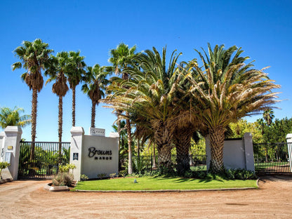 Browns Manor Upington Northern Cape South Africa Complementary Colors, Palm Tree, Plant, Nature, Wood, Sign