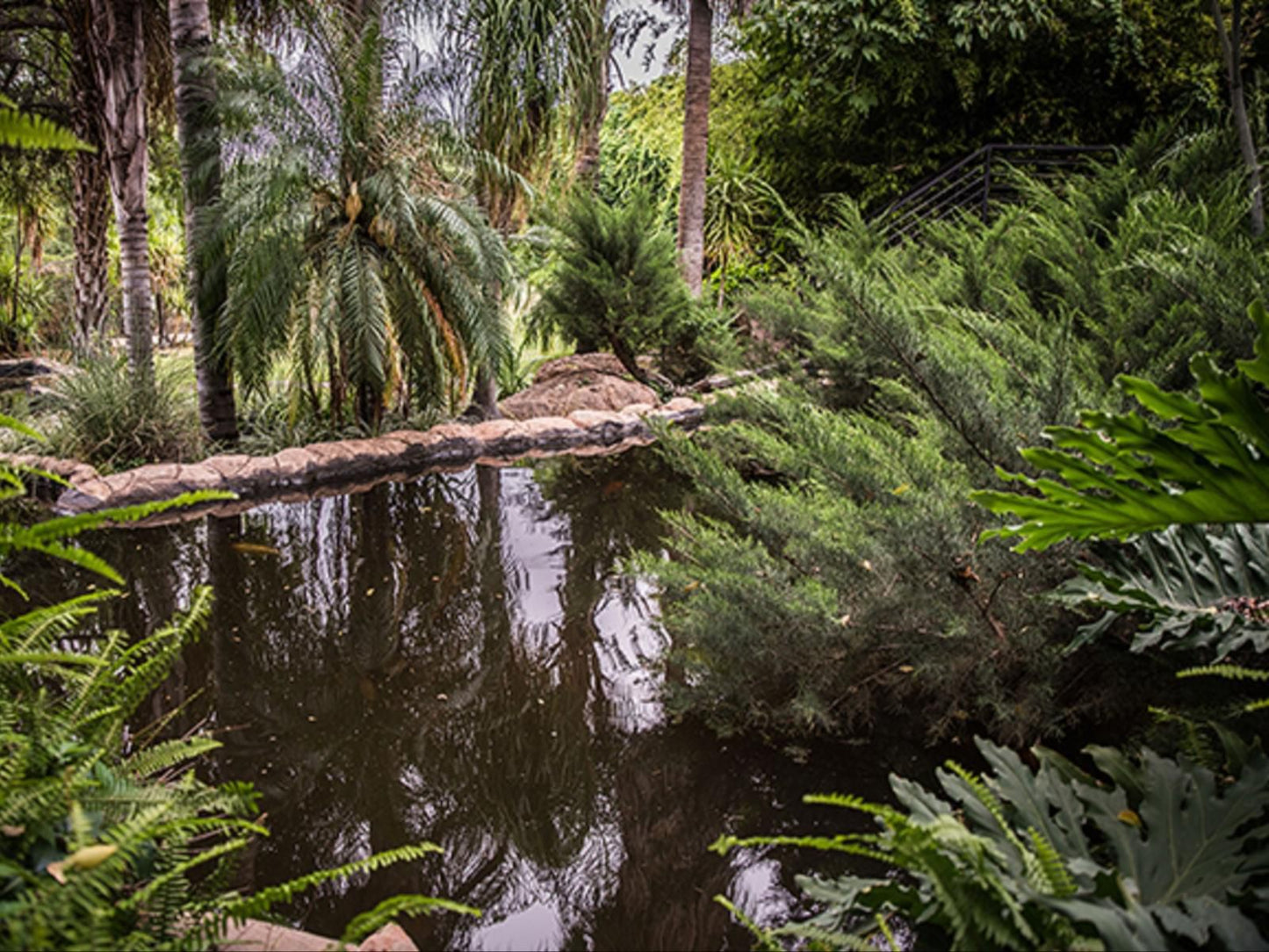 Browns Manor Upington Northern Cape South Africa Forest, Nature, Plant, Tree, Wood, River, Waters, Garden