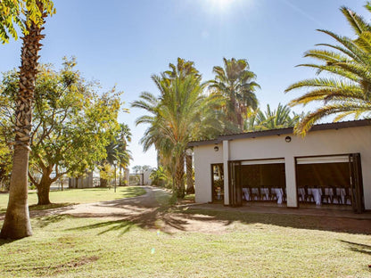 Browns Manor Upington Northern Cape South Africa Complementary Colors, Palm Tree, Plant, Nature, Wood