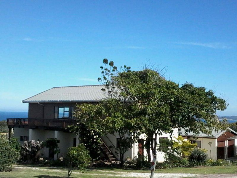 Browntoes Bruintoon Vacation Home Brenton On Sea Knysna Western Cape South Africa Building, Architecture, House, Palm Tree, Plant, Nature, Wood, Window