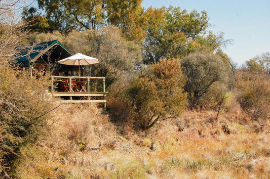 B Sorah Luxury Tented Camp Skeerpoort Hartbeespoort North West Province South Africa Autumn, Nature