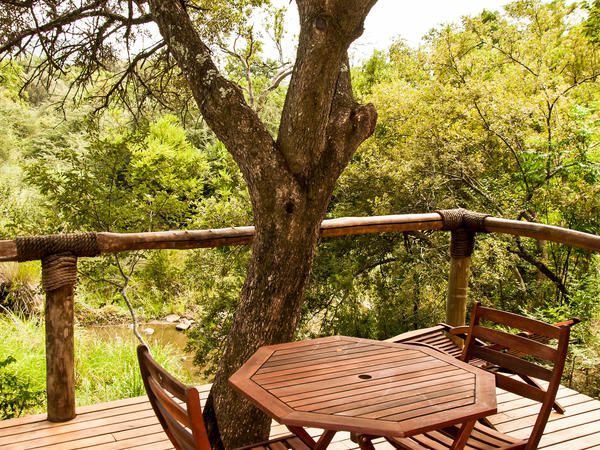 B Sorah Luxury Tented Camp Skeerpoort Hartbeespoort North West Province South Africa Colorful, Plant, Nature