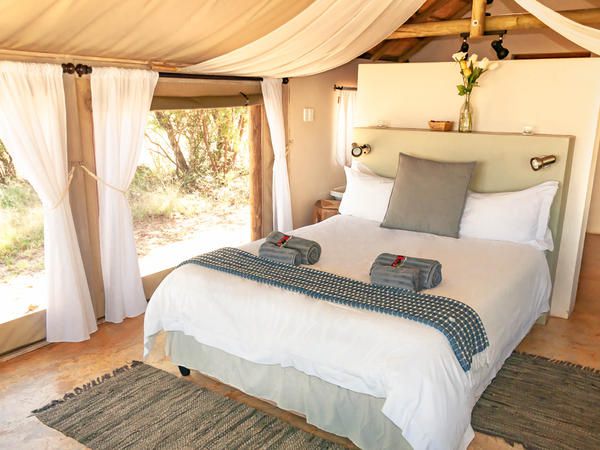 B Sorah Luxury Tented Camp Skeerpoort Hartbeespoort North West Province South Africa Tent, Architecture, Bedroom