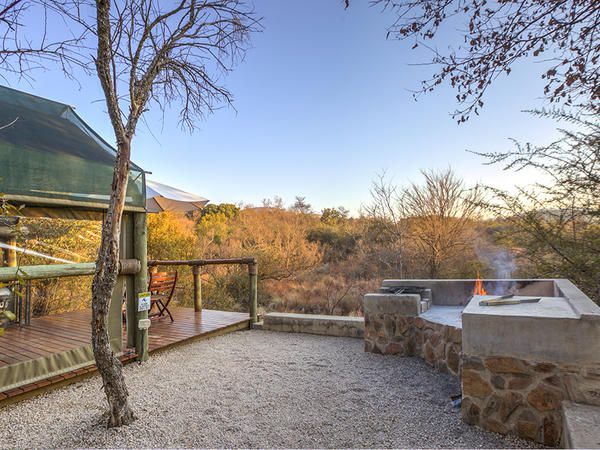 B Sorah Luxury Tented Camp Skeerpoort Hartbeespoort North West Province South Africa Framing, Garden, Nature, Plant