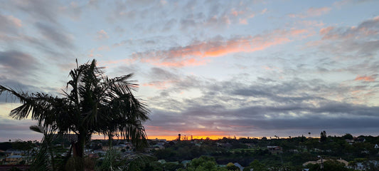 B Tottenham House Baysville East London Eastern Cape South Africa Palm Tree, Plant, Nature, Wood, Sky, Framing, Sunset