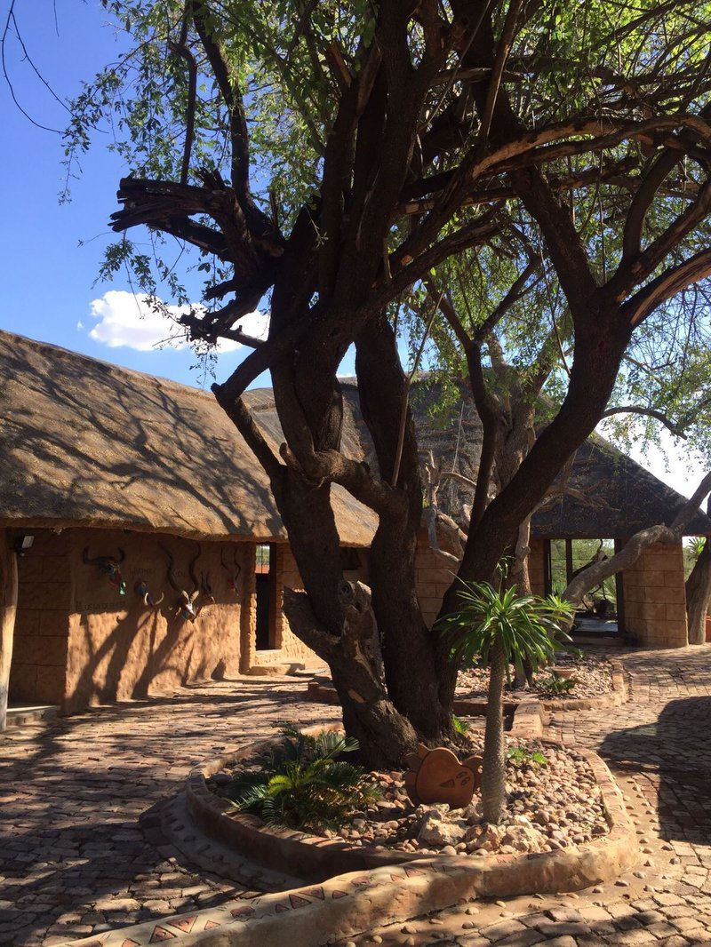 Bua Nnete Game Lodge Tom Burke Limpopo Province South Africa Plant, Nature, Desert, Sand, Framing