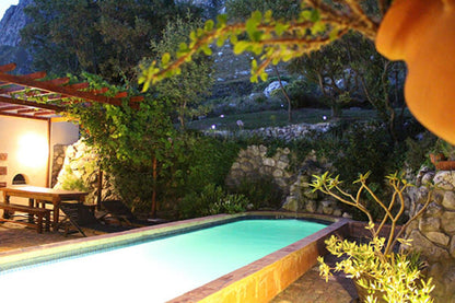 Bucaco Sud Guest House Bettys Bay Western Cape South Africa Garden, Nature, Plant, Swimming Pool