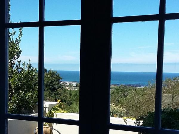 Bucaco Sud Guest House Bettys Bay Western Cape South Africa Beach, Nature, Sand, Cliff, Palm Tree, Plant, Wood, Framing, Ocean, Waters