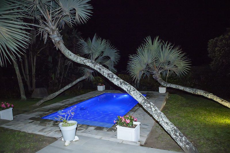 Buccaneer Bay Southbroom Kwazulu Natal South Africa Palm Tree, Plant, Nature, Wood, Garden, Swimming Pool