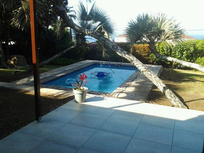 Buccaneer Bay Southbroom Kwazulu Natal South Africa Palm Tree, Plant, Nature, Wood, Garden, Swimming Pool