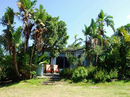 Buccaneers Lodge And Backpackers Chintsa Eastern Cape South Africa Complementary Colors, Building, Architecture, Island, Nature, Palm Tree, Plant, Wood