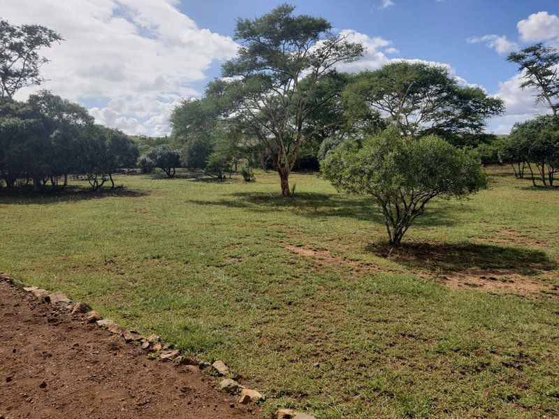 Boshoek Bush Camp Hluhluwe Kwazulu Natal South Africa Field, Nature, Agriculture, Lowland