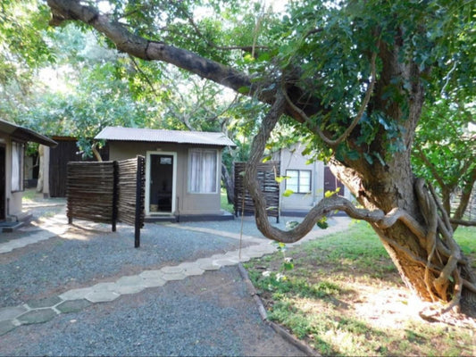 Isinkwe Bush Camp Hluhluwe Kwazulu Natal South Africa Cabin, Building, Architecture, House, Plant, Nature