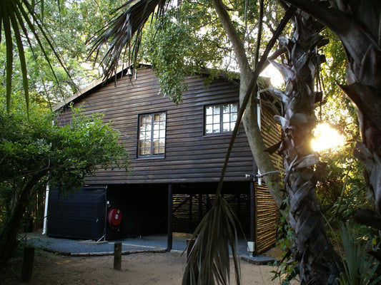 Isinkwe Bush Camp Hluhluwe Kwazulu Natal South Africa Building, Architecture, Cabin, Tree, Plant, Nature, Wood