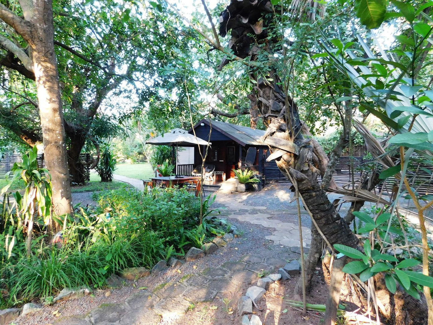 Isinkwe Bush Camp Hluhluwe Kwazulu Natal South Africa Palm Tree, Plant, Nature, Wood, Tree