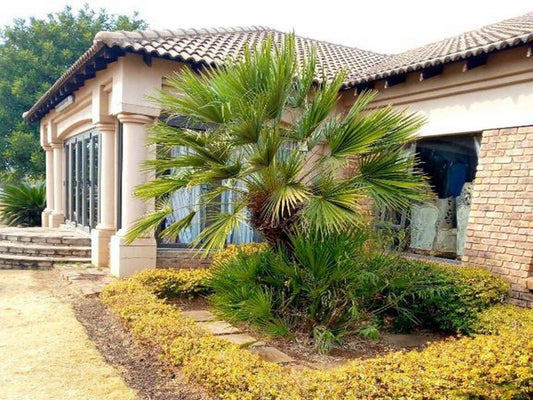 Budias Guesthouse Bredell Johannesburg Gauteng South Africa House, Building, Architecture, Palm Tree, Plant, Nature, Wood