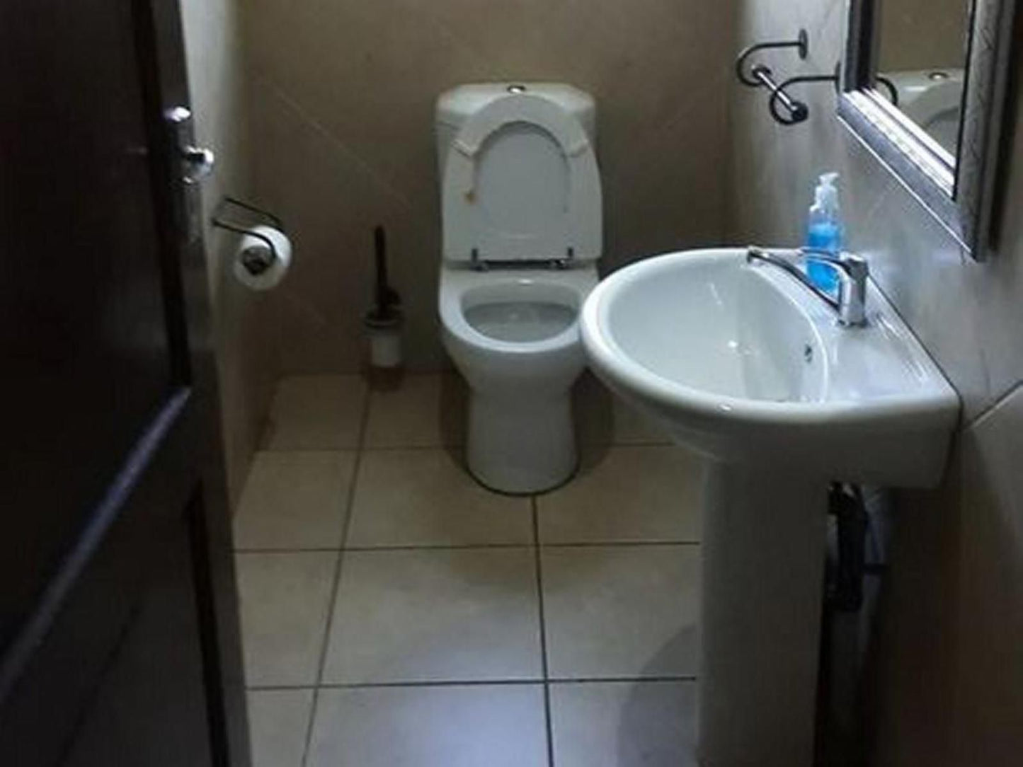 Budias Guesthouse Bredell Johannesburg Gauteng South Africa Bathroom