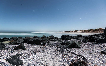 Buffalo Drift Captain S Cabin Yzerfontein Western Cape South Africa Beach, Nature, Sand, Ocean, Waters