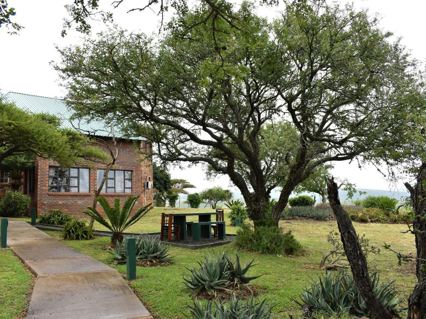 Buffalo Hills, House, Building, Architecture, Plant, Nature