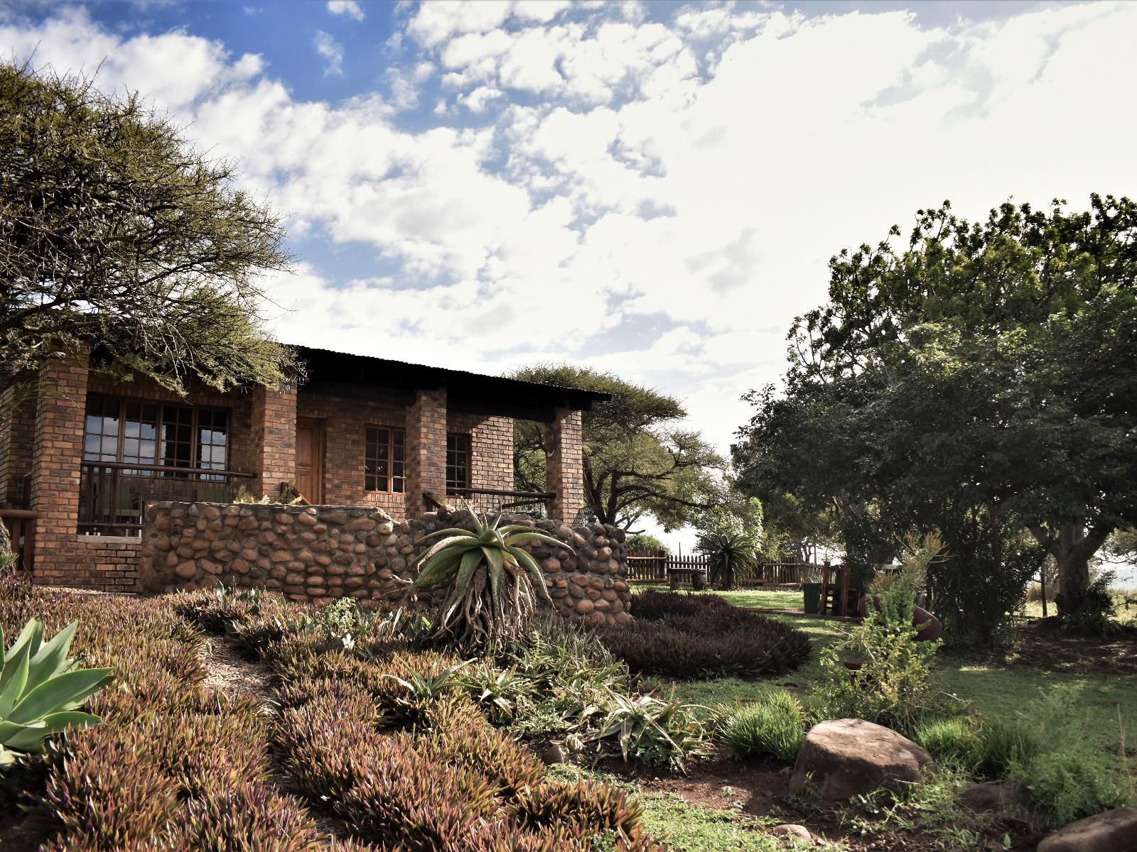 Buffalo Hills, Mountain Aloe