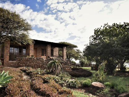 Buffalo Hills, Mountain Aloe