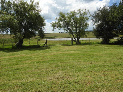 Buffalo Hills Private Game Reserve, Field, Nature, Agriculture, Tree, Plant, Wood, Lowland