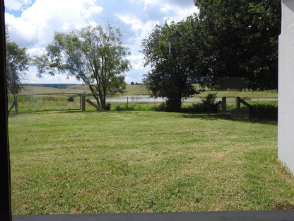 Buffalo Hills Private Game Reserve, Fishing Cottage, Tree, Plant, Nature, Wood, Lowland