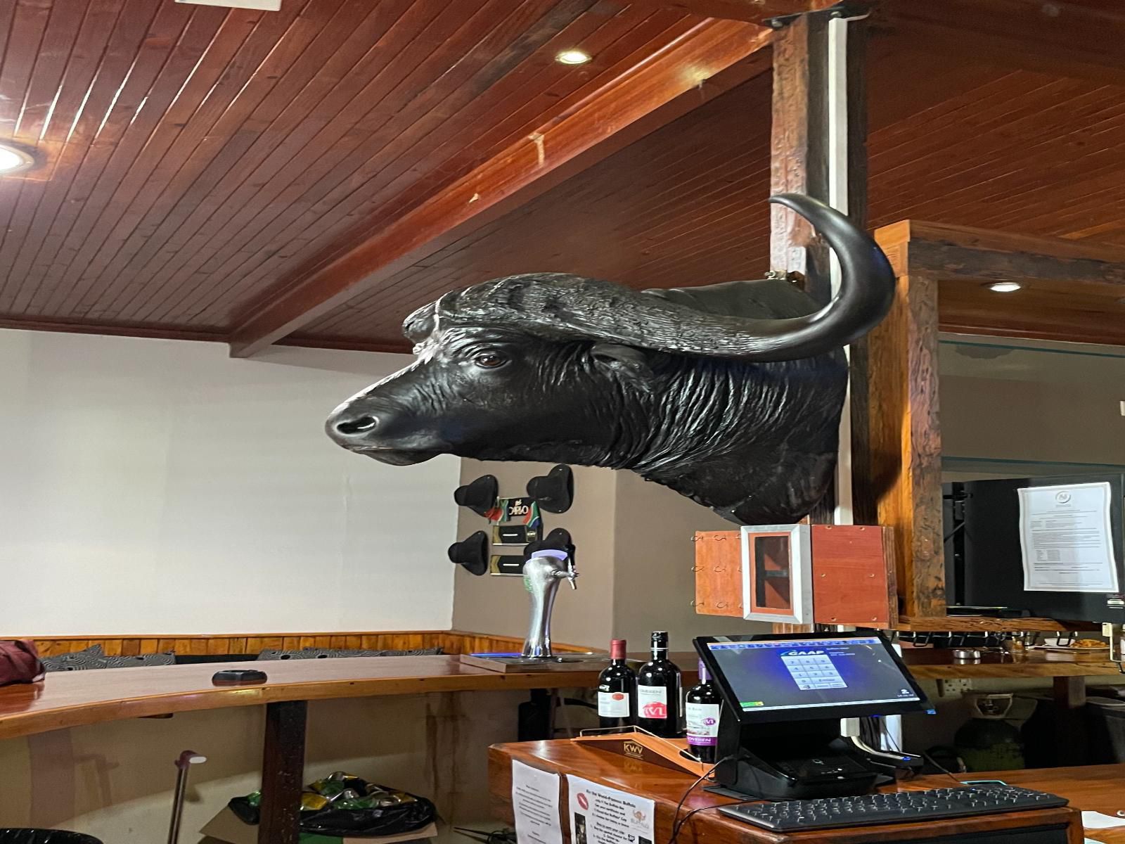 Buffalo Hotel Malelane Mpumalanga South Africa Statue, Architecture, Art, Animal, Bar