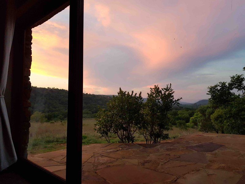 Buffalo Thorn Magaliesburg Gauteng South Africa Framing, Nature, Sunset, Sky