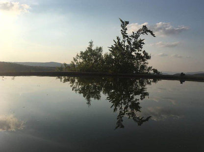 Buffalo Thorn Magaliesburg Gauteng South Africa Lake, Nature, Waters, River, Tree, Plant, Wood