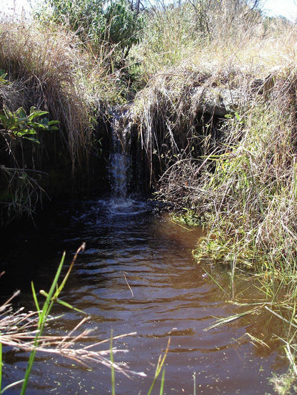 Buffalo Thorn Magaliesburg Gauteng South Africa River, Nature, Waters, Waterfall