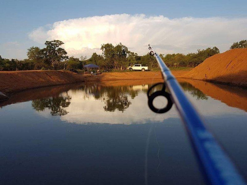 Buffalo Ranch Game Lodge Groblersdal Mpumalanga South Africa 