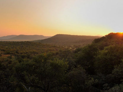 Buffalo Ridge Safari Lodge Madikwe Game Reserve North West Province South Africa Sepia Tones, Nature, Sunset, Sky