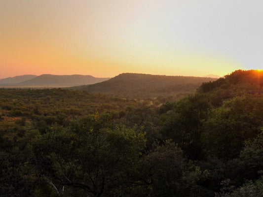 Buffalo Ridge Safari Lodge Madikwe Game Reserve North West Province South Africa Sepia Tones, Nature, Sunset, Sky