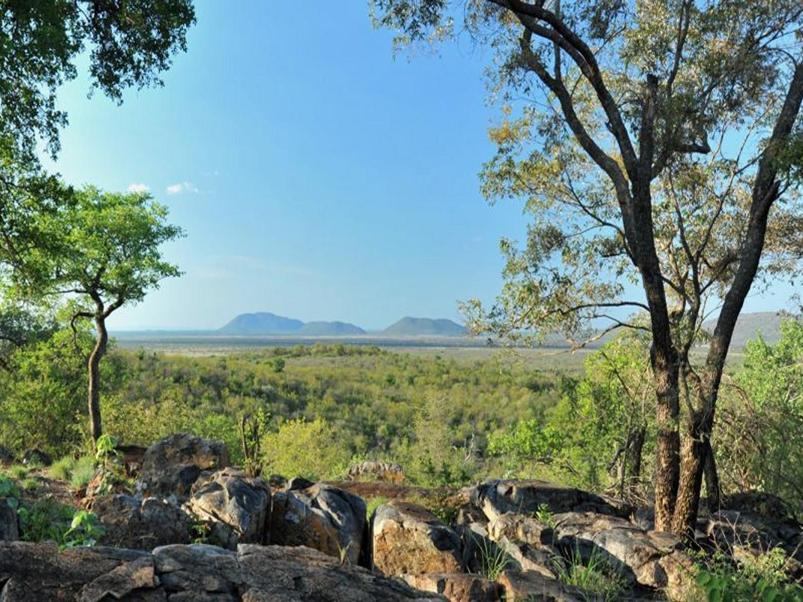 Buffalo Ridge Safari Lodge Madikwe Game Reserve North West Province South Africa Complementary Colors, Tree, Plant, Nature, Wood