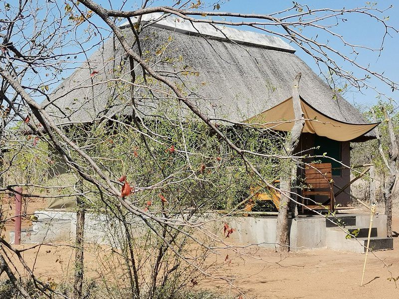 Buffalo Tented Lodge Phalaborwa Limpopo Province South Africa Barn, Building, Architecture, Agriculture, Wood
