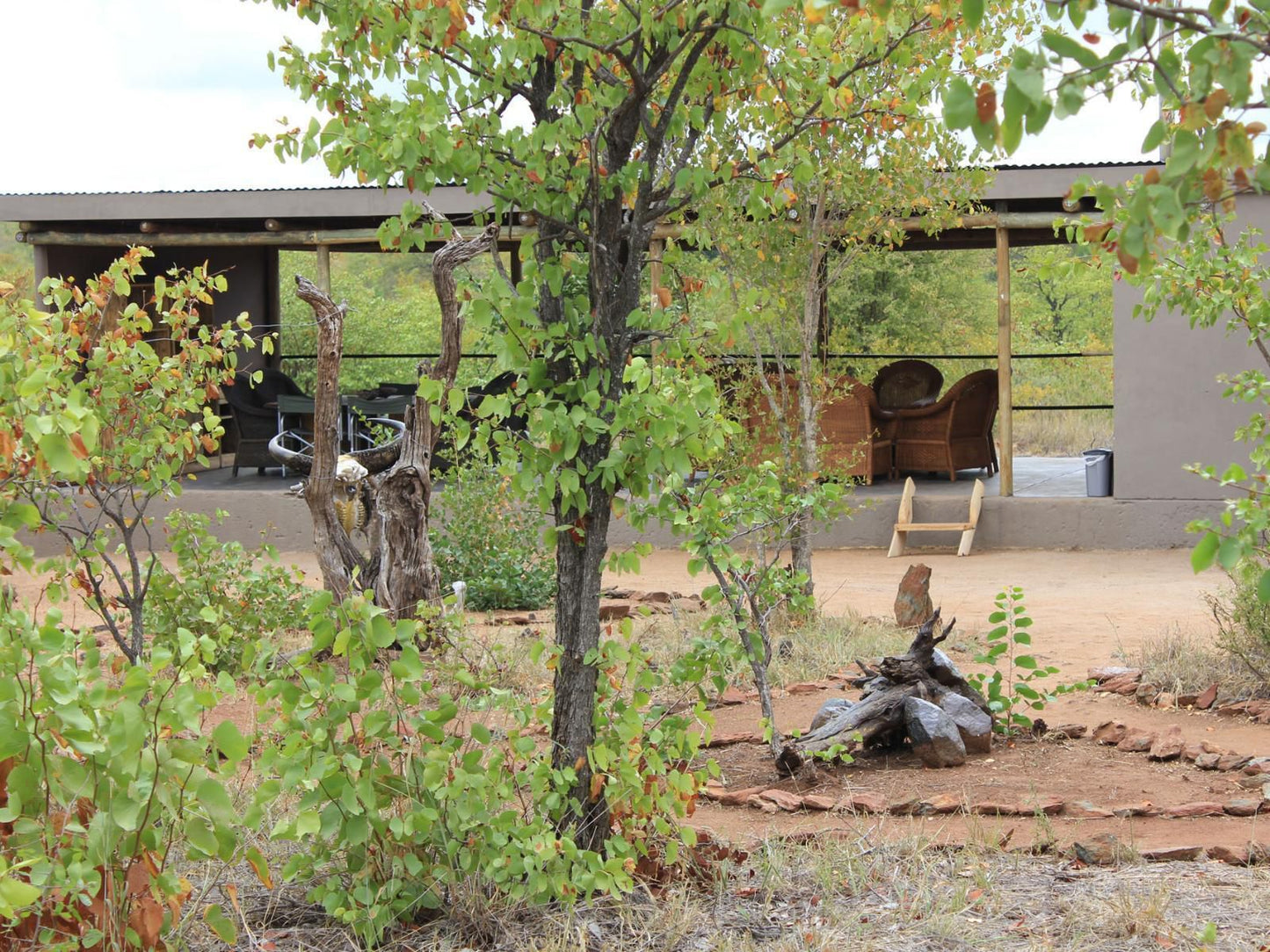 Buffalo Tented Lodge Phalaborwa Limpopo Province South Africa Tree, Plant, Nature, Wood