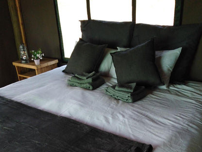 Buffalo Tented Lodge Phalaborwa Limpopo Province South Africa Unsaturated, Bedroom