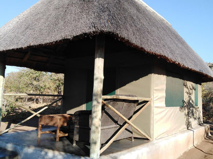 Buffalo Tented Lodge Phalaborwa Limpopo Province South Africa 