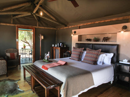 Buffelsdrift Game Lodge Oudtshoorn Western Cape South Africa Bedroom