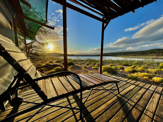 Buffelsdrift Game Lodge Oudtshoorn Western Cape South Africa Beach, Nature, Sand