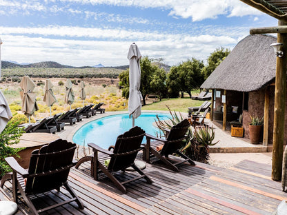 Buffelsdrift Game Lodge Oudtshoorn Western Cape South Africa Swimming Pool