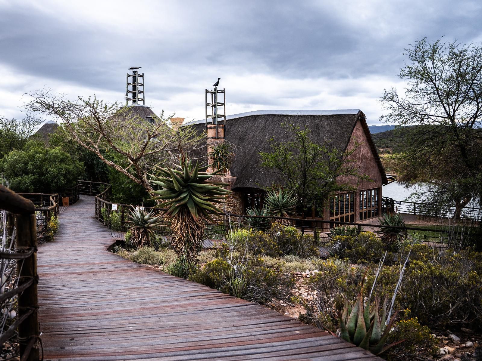 Buffelsdrift Game Lodge Oudtshoorn Western Cape South Africa 