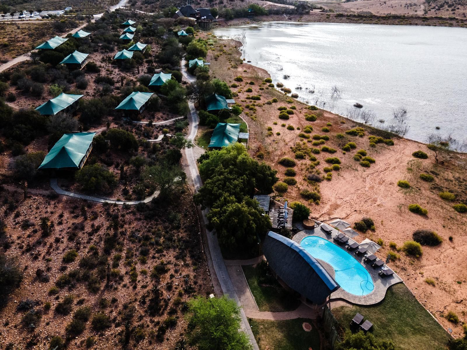 Buffelsdrift Game Lodge Oudtshoorn Western Cape South Africa Island, Nature, Aerial Photography, Swimming Pool