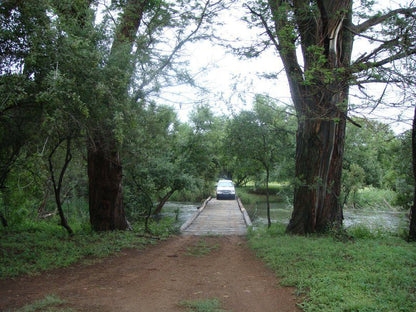 Buffelsdrift Rust De Winter Rust De Winter Nature Reserve Limpopo Province South Africa Forest, Nature, Plant, Tree, Wood, River, Waters, Street