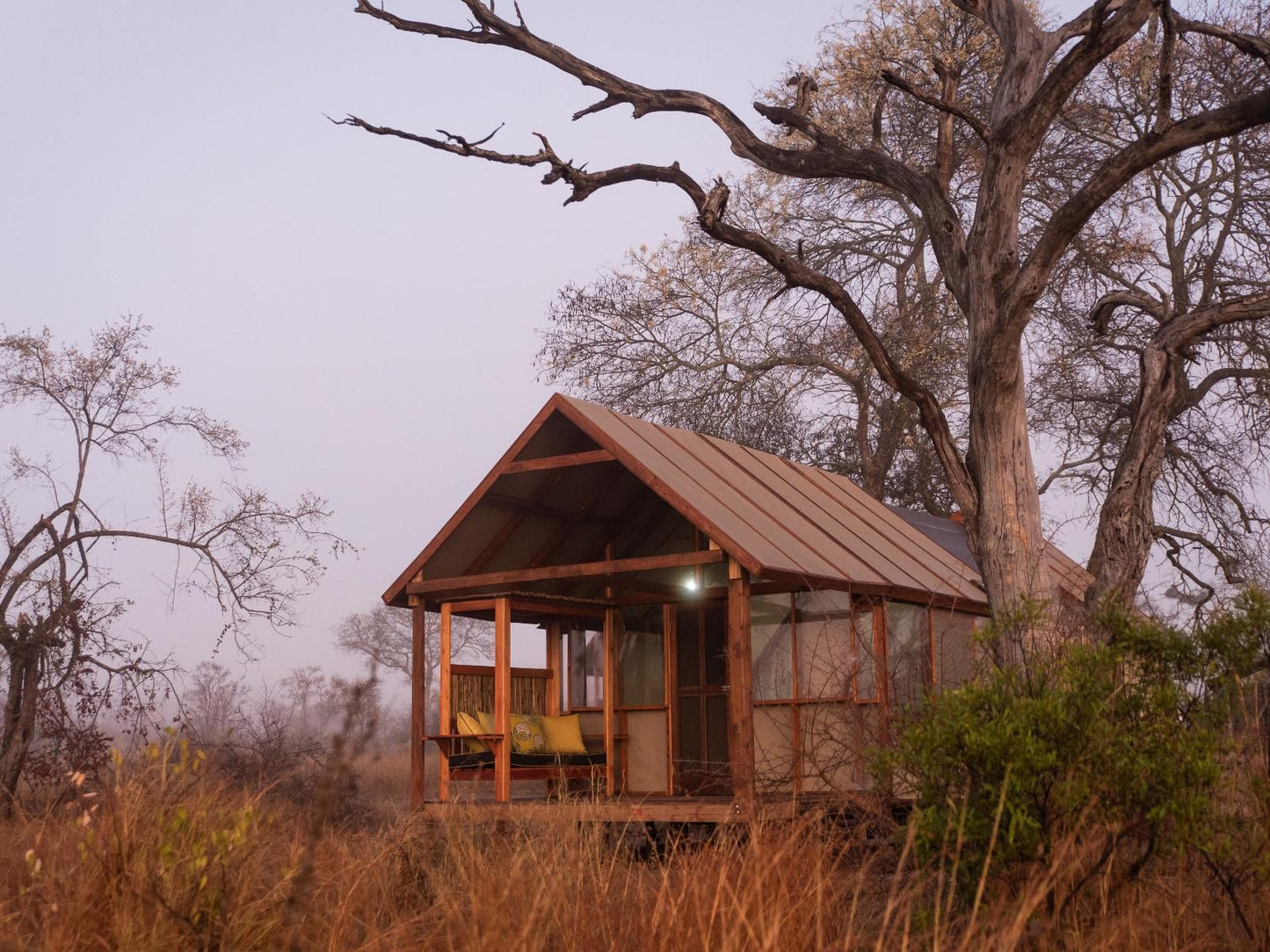 Buffelshoek Tented Camp Manyeleti Reserve Mpumalanga South Africa Complementary Colors