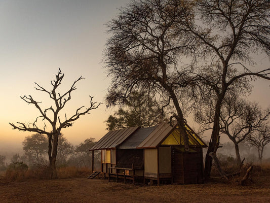 Buffelshoek Tented Camp Manyeleti Reserve Mpumalanga South Africa Sepia Tones, Building, Architecture, Tree, Plant, Nature, Wood