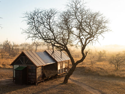 Buffelshoek Tented Camp Manyeleti Reserve Mpumalanga South Africa Barn, Building, Architecture, Agriculture, Wood