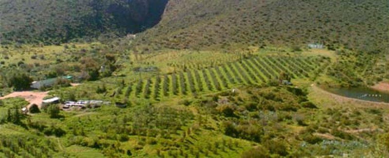 Buffelshoek Farm Cottage Van Wyksdorp Western Cape South Africa Highland, Nature