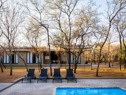 Buffelshuis Safari Camp, Swimming Pool